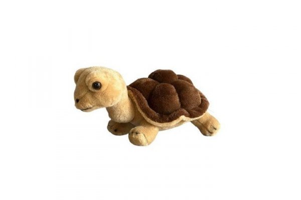 DUBI PLUSZ Żółw lądowy brązowy 20cm 31129