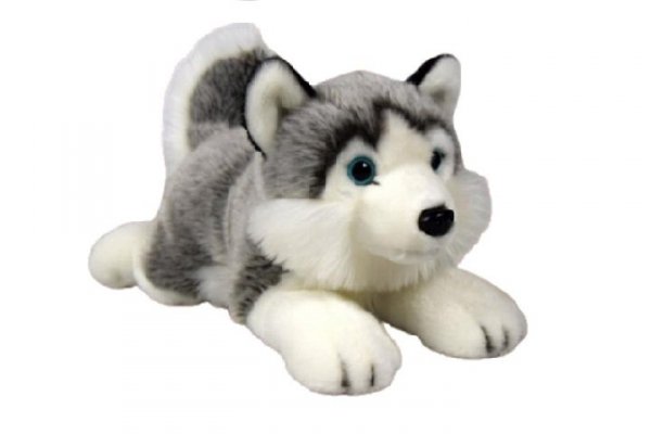 DUBI PLUSZ Pies husky leżacy 34cm 48853