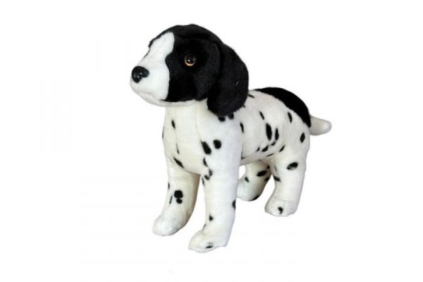 DUBI PLUSZ Pies angielski pointer stojący 28cm 32157