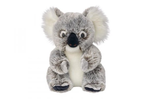 BEPPE Koala australijski 25cm 14206 24244