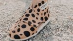 Czy kapcie Slippers Family nadają się jako buty do przedszkola?