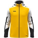 bluza z kapturem DYNAMIC