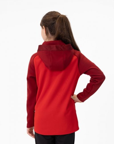 bluza z kapturem ICONIC