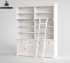 BIBLIOTECZKA HAMPTONS Z DRABINKĄ 