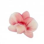 Cukrowy CYMBIDIUM kwiat z masy cukrowej - RÓŻOWY 1szt