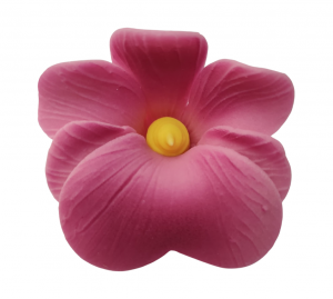 Miltonia wrzosowa 10 szt