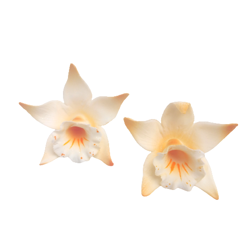 Cukrowa KATLEJA malowana kwiatek z masy cukrowej - 1szt HERBACIANA