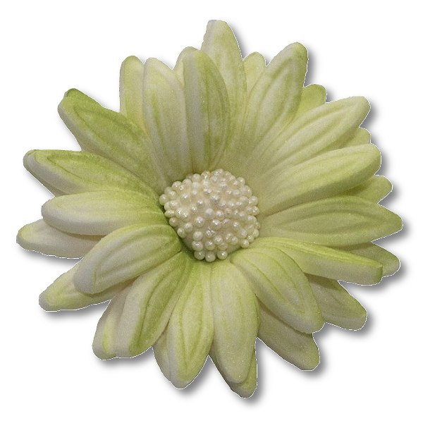 Margaretka kwiat z masy cukrowej 1 szt. - KOLOR PISTACJOWY