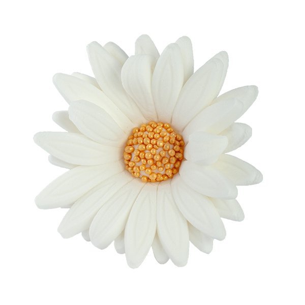 Margaretka kwiat z masy cukrowej 1 szt KOLOR BIAŁY