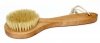 Short Handle Body Scrub