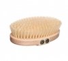 Agave Cactus Brush for Body Wash and Massage