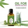 Natural Eucalyptus Essential Oil, Indus Valley, 15ml