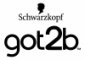 Got2b