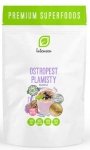 Milk Thistle Seed, Intenson, 500g