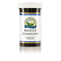 Bacillus Coagulans, Nature's Sunshine, 90 capsules
