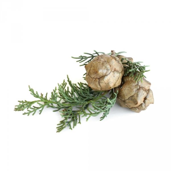 Cypress Essential Oil, Now Foods, 30ml