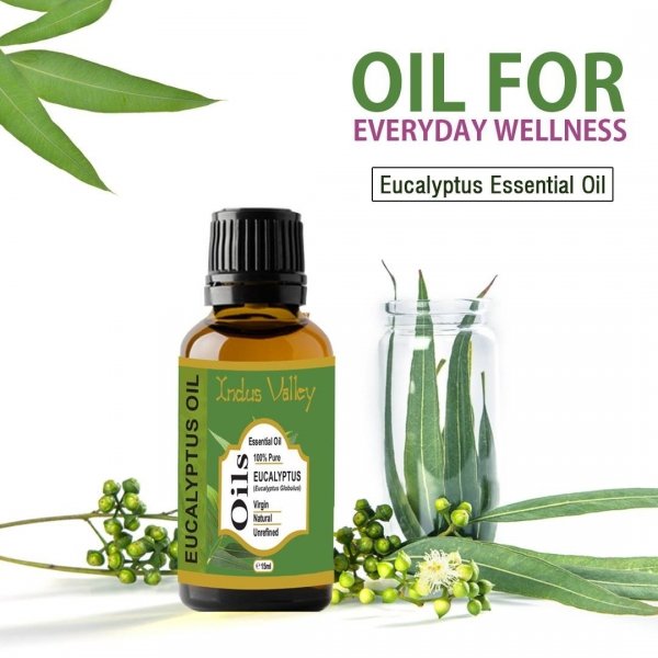 Natural Eucalyptus Essential Oil, Indus Valley, 15ml