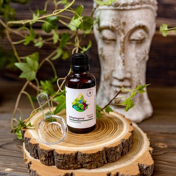 Adaptogens, 100% natural plant extracts, Aura Herbals, 50 ml