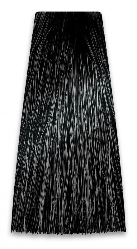 PROSALON PROFESSIONAL Intensis Color Art Profesjonalna Farba do włosów nr 1.0 czarna 100g