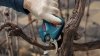 Akumulatorowy sekator ogrodniczy Bosch Professional Pro Pruner 12V