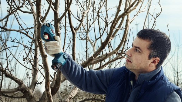 Akumulatorowy sekator ogrodniczy Bosch Professional Pro Pruner 2x3.0Ah 12V