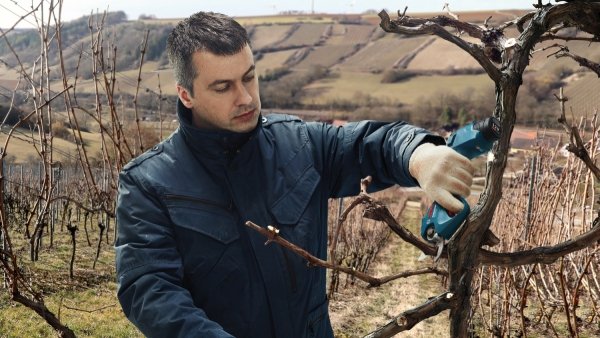 Akumulatorowy sekator ogrodniczy Bosch Professional Pro Pruner 12V