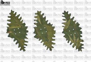 Zestaw 50 szt liści kształtek Meadow 