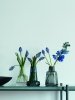 Holmegaard FLORA Wazon do Kwiatów 24 cm Bezbarwny