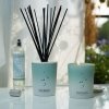 Esteban PARIS Dyfuzor Zapachowy z Patyczkami 100 ml Ceramiczny Pojemnik / Zapach Pur Lin