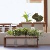 Skagerak PLINT Zestaw 3 Pojemników Ceramicznych na Drewnianej Podstawce