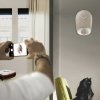 Guzzini HOME BELL Zegar Ścienny z Wahadłem / Taupe