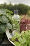 RIG-TIG by Stelton DRINK-IT Butelka do Wody 750 ml Niebieska