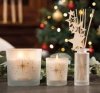 Esteban PARIS Świąteczny Dyfuzor Zapachowy 100 ml / Zapach Exquisite Fir