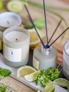 Bloomingville NO.1 Dyfuzor Zapachowy z Patyczkami 100 ml / Pietruszka i Limonka