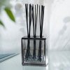 Esteban PARIS Dyfuzor Zapachowy z Patyczkami Triptyque 250 ml / Zapach Pur Lin