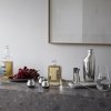 Georg Jensen SKY Stalowe Kieliszki do Wódki 2 Szt. / Srebrne