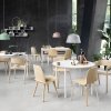 Muuto VISU Krzesło Drewniane - Zielone Dusty Green 2 Szt.