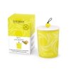 Esteban PARIS Świeca Zapachowa 180 g Dekoracyjna / Zapach Terre dAgrumes