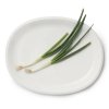 Iittala RAAMI Półmisek Owalny / Biały