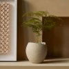 Audo PLANTS Doniczka do Kwiatów 17 cm / Ivory
