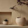 Audo PLANTS Doniczka do Kwiatów 32 cm / Ivory