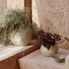 Audo PLANTS Doniczka do Kwiatów 32 cm / Ivory