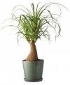 Bitz NORDIC Doniczka ze Spodkiem do Kwiatów - Ziół 14 cm / Zielona