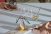 Alessi MIXOLOGY Zestaw Koktajlowy - Szklanki do Drinków, Łyżeczki + Wyciskacz do Cytrusów