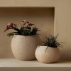 Audo PLANTS Doniczka do Kwiatów 24 cm / Ivory