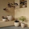 Audo PLANTS Doniczka do Kwiatów 32 cm / Ivory