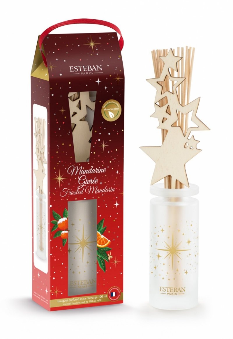 Esteban PARIS Dyfuzor Zapachowy z Patyczkami 100 ml / Zapach Świąteczny Frosted Mandarin