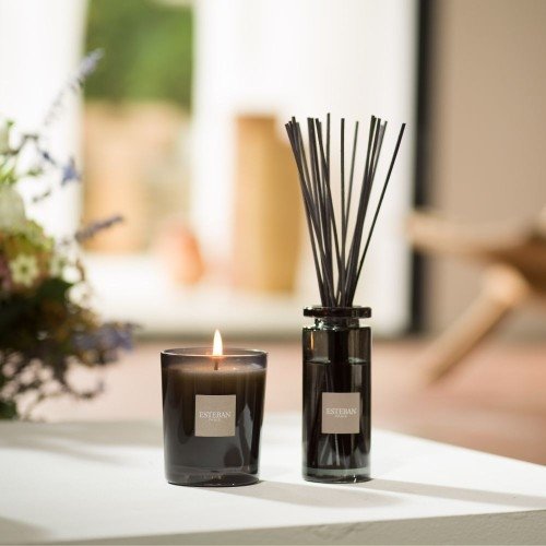 Esteban PARIS Dyfuzor Zapachowy z Patyczkami 100 ml / Zapach Cedre