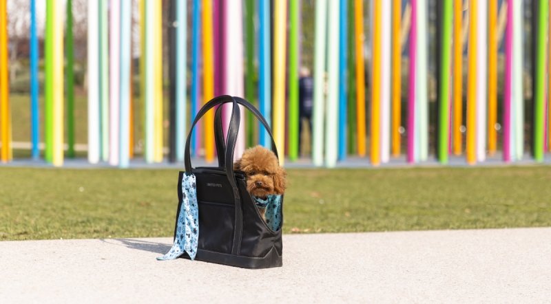 United Pets Milano UP BAG Transporter - Torba dla Psa / Czarno - Fuksjowa