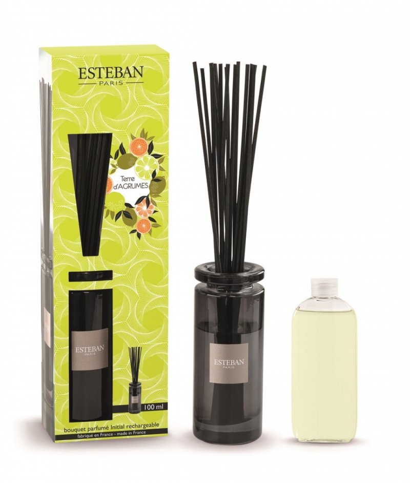 Esteban PARIS Dyfuzor Zapachowy z Patyczkami 100 ml / Zapach Terre d'Agrumes